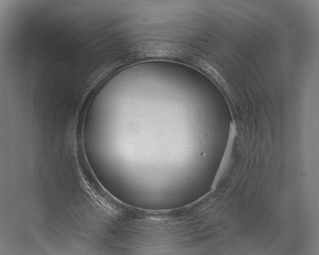 X0000076060482200610061540