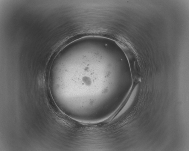 X0000076060483200610061540