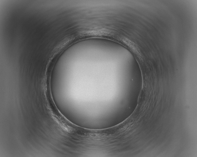 X0000076060486200610061540