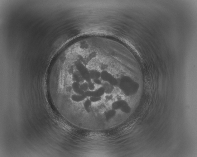 X0000076060487200610061540