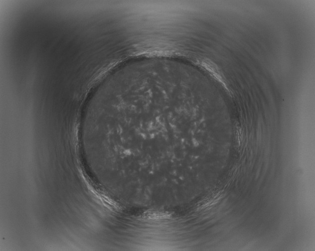 X0000076060491200610061540