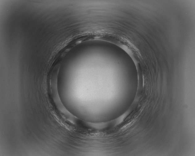 X0000076060493200610061540