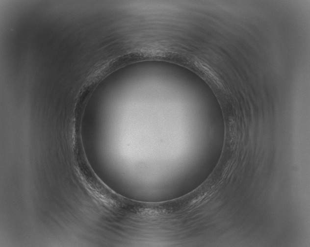 X0000076060494200610061540