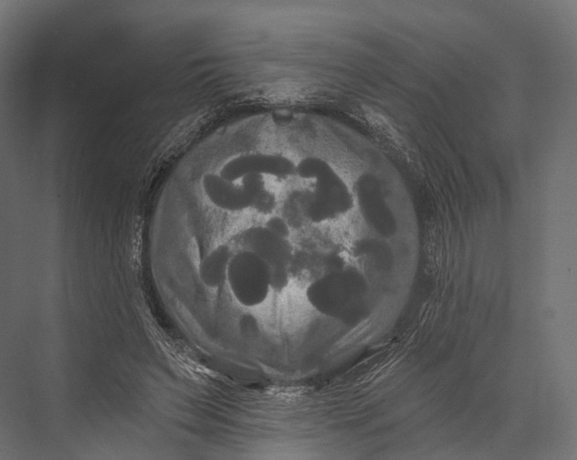 X0000076060495200610061540