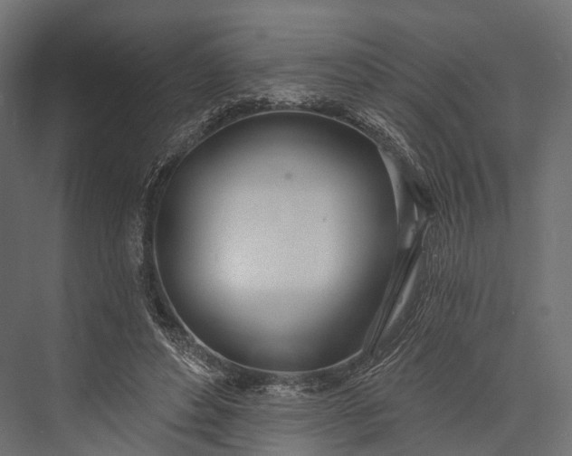 X0000076060496200610061540