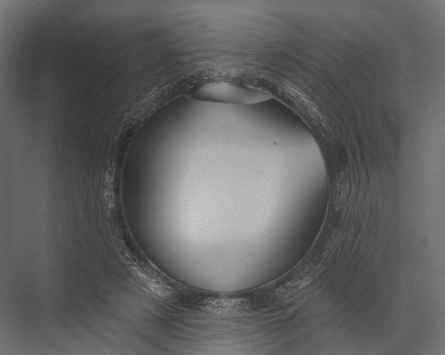 X0000076060497200610061540