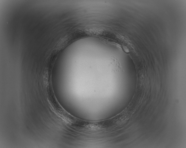 X0000076060498200610061540