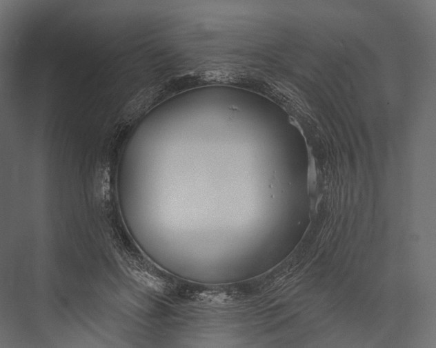 X0000076060502200610061540