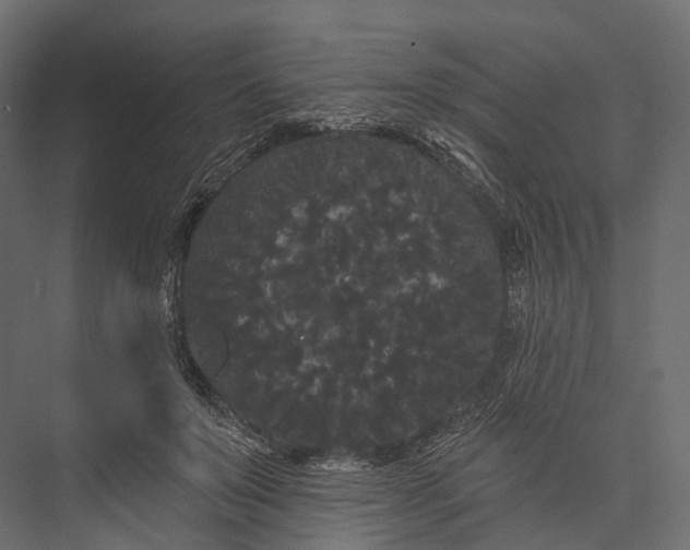 X0000076060503200610061540