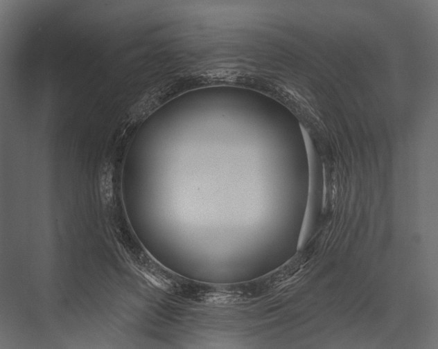 X0000076060504200610061540