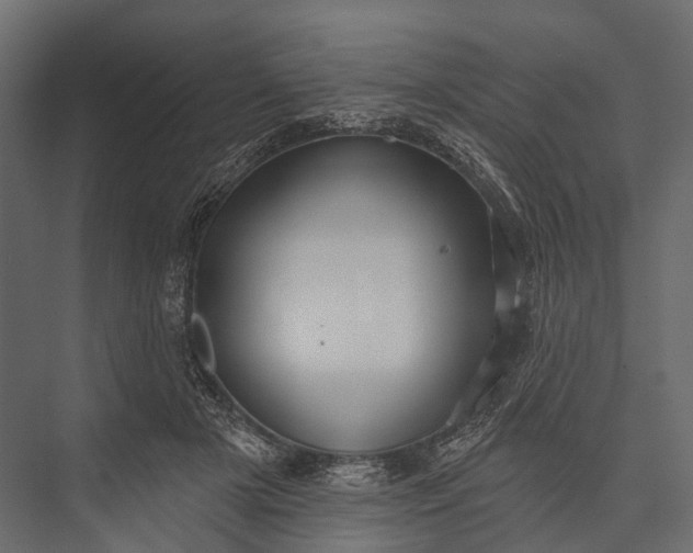 X0000076060505200610061540