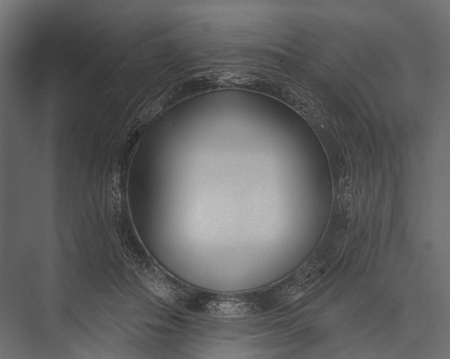 X0000076060506200610061540