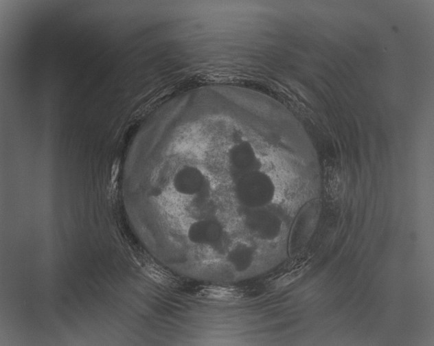 X0000076060507200610061540