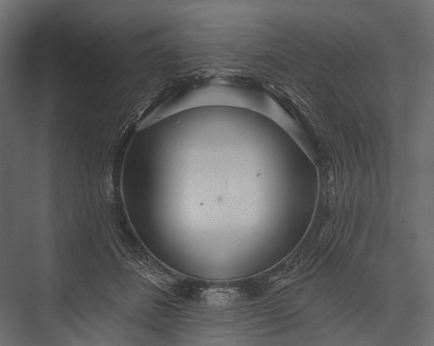 X0000076060508200610061540