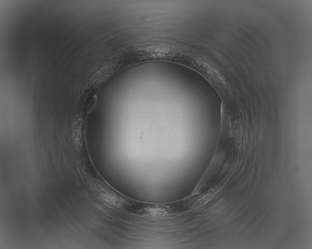 X0000076060509200610061540