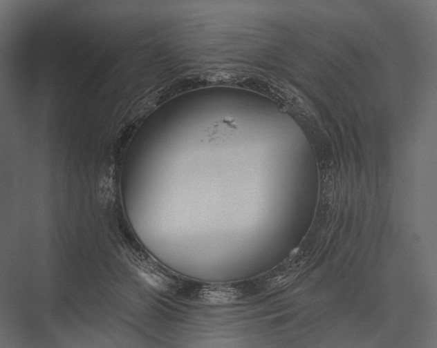 X0000076060510200610061539