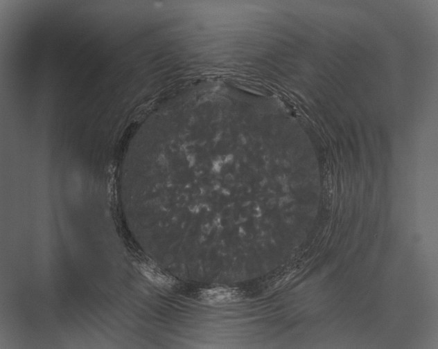 X0000076060511200610061539