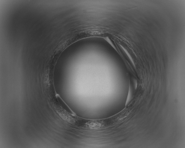 X0000076060512200610061539