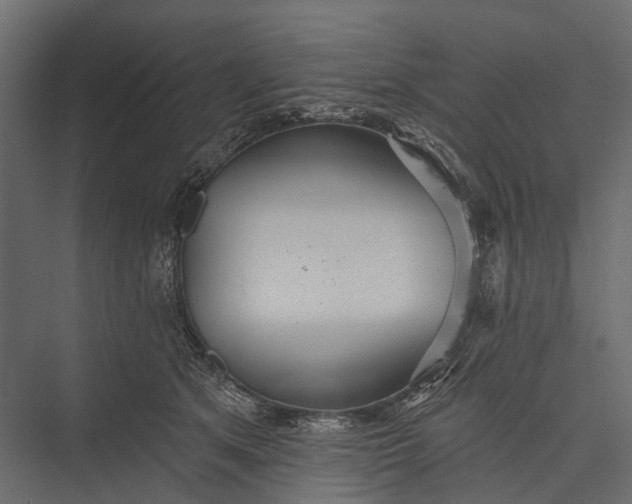 X0000076060513200610061539