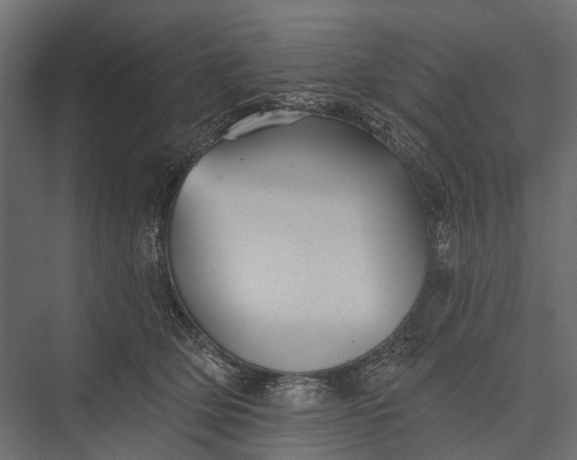 X0000076060514200610061539