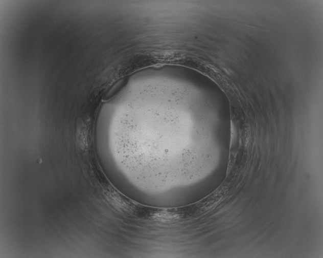 X0000076060515200610061539