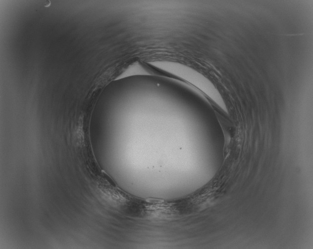 X0000076060516200610061539