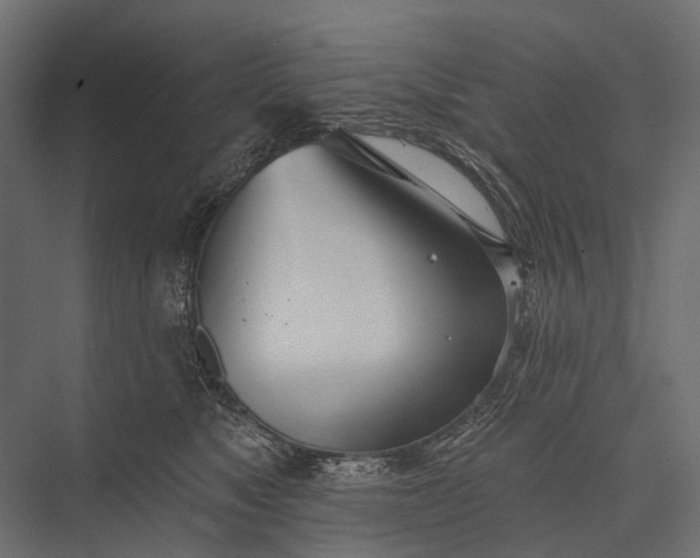 X0000076060517200610061539