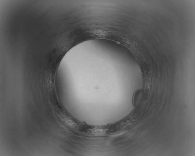 X0000076060518200610061539