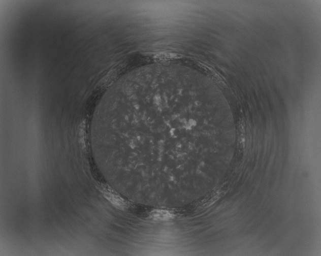 X0000076060519200610061539