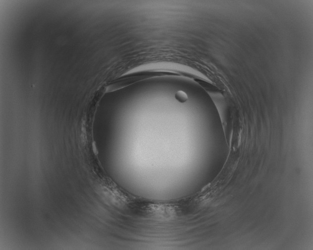 X0000076060520200610061539