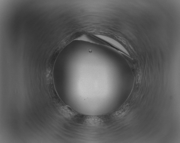 X0000076060521200610061539