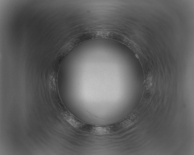 X0000076060522200610061539