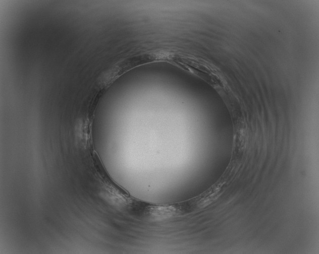 X0000076060525200610061539