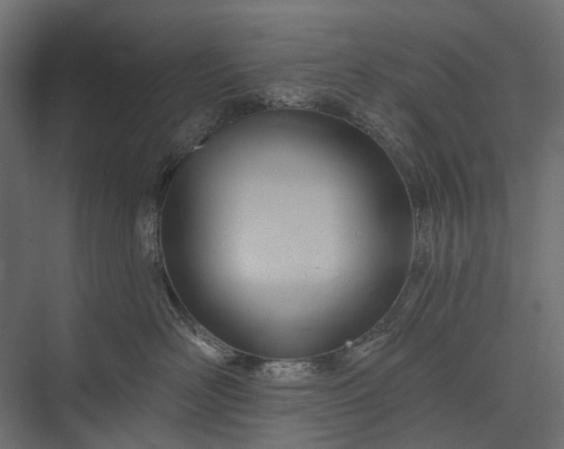 X0000076060526200610061539