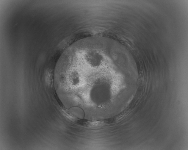 X0000076060527200610061539