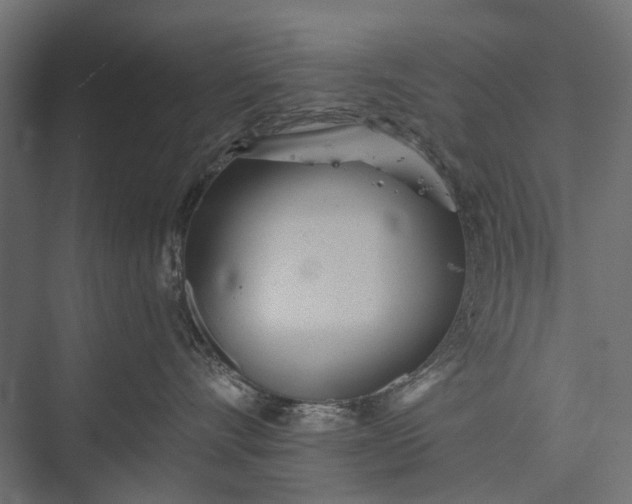 X0000076060528200610061539