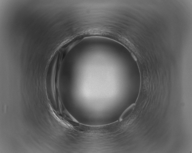 X0000076060530200610061538