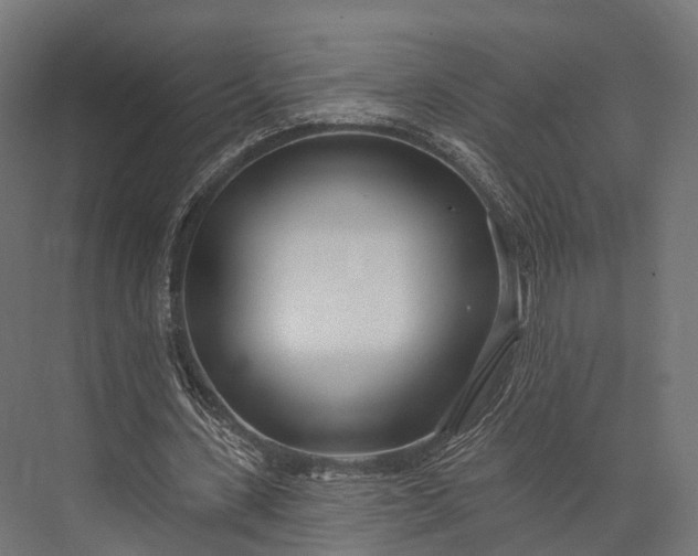 X0000076060531200610061538