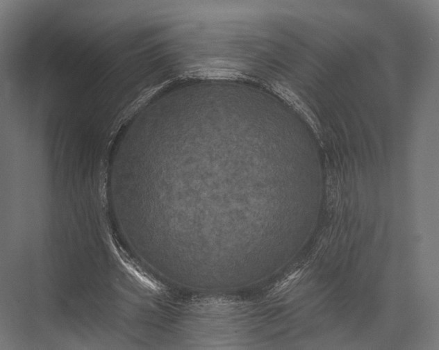 X0000076060533200610061538