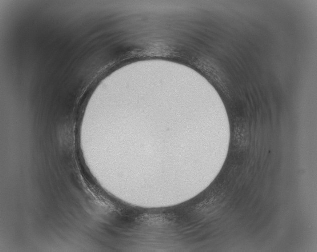 X0000076060534200610061538