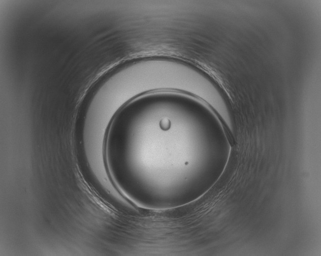 X0000076060535200610061538