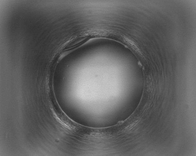 X0000076060538200610061539