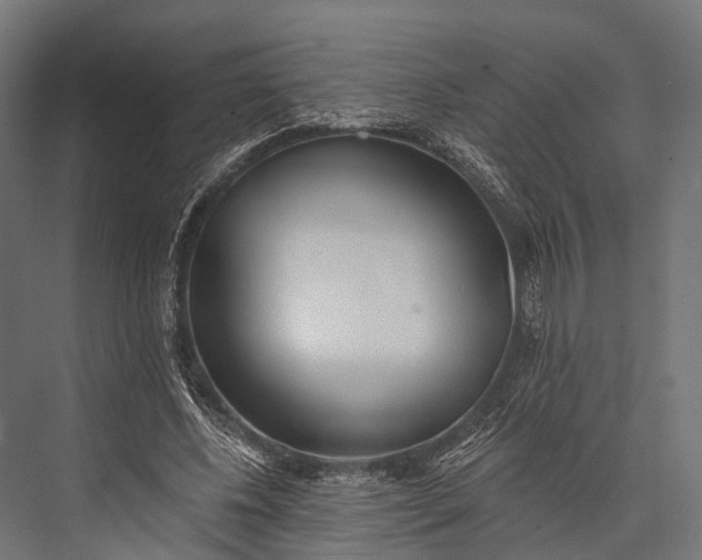 X0000076060540200610061539