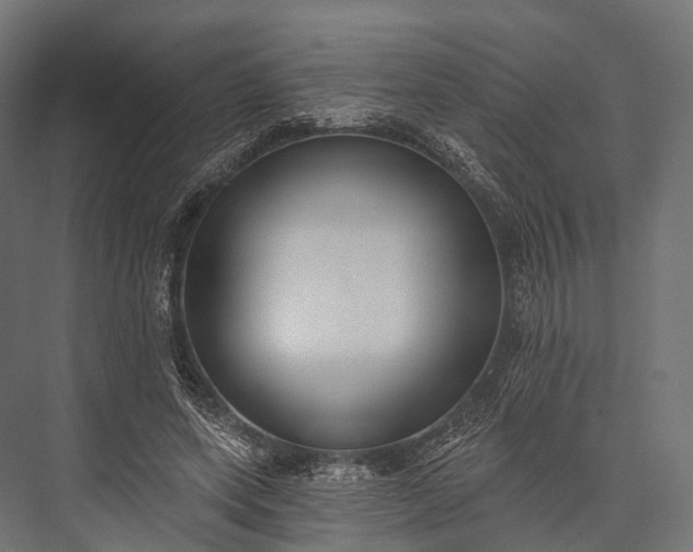 X0000076060543200610061539