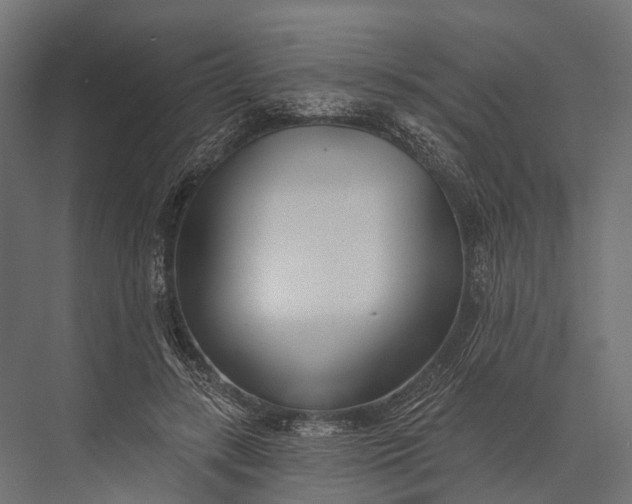 X0000076060547200610061539