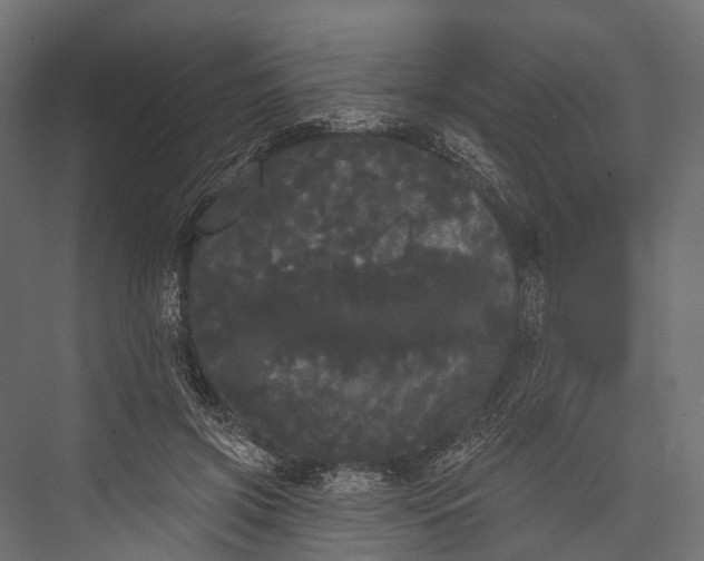 X0000076060549200610061539