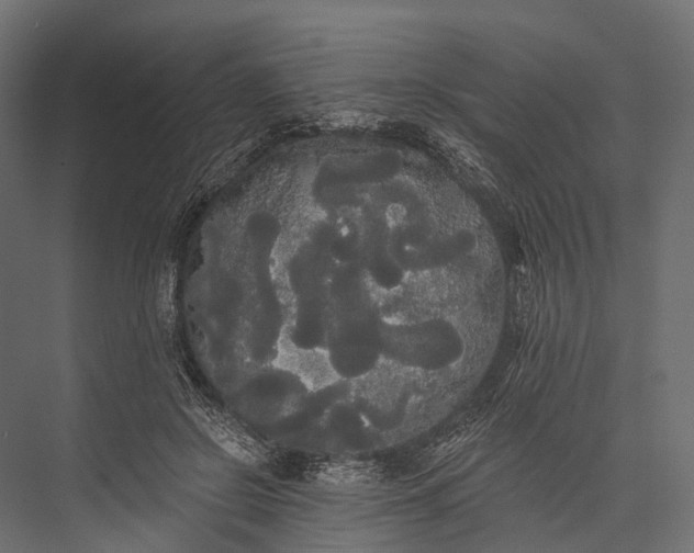 X0000076060550200610061539