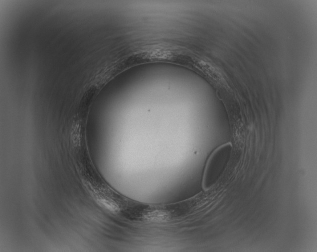 X0000076060551200610061539