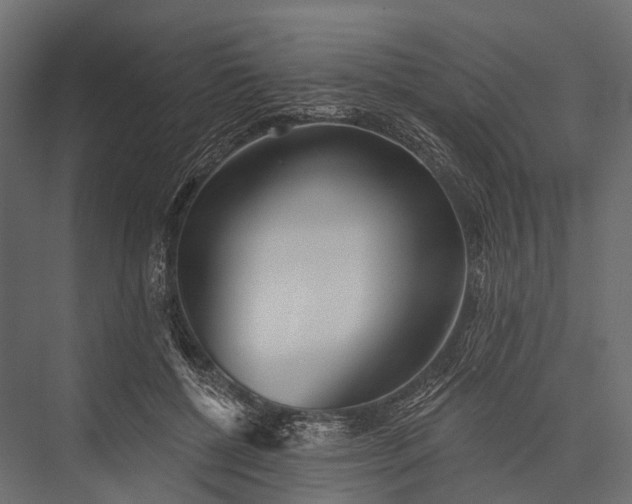 X0000076060552200610061539