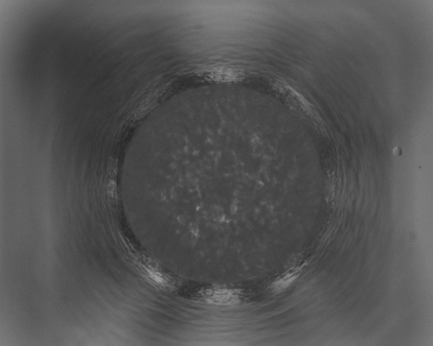 X0000076060553200610061539